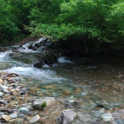 増水の谷でイワナ釣り